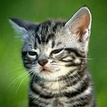 Екатерина Опупеева